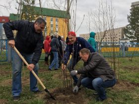 Акции "Дворовый скворечник" и "Наше дерево" в Нижневартовске